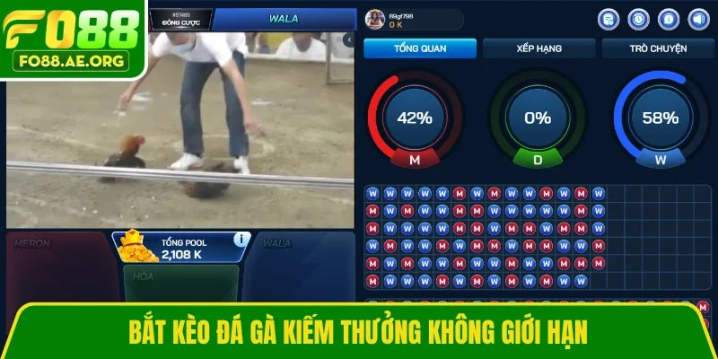 Bắt kèo đá gà kiếm thưởng không giới hạn