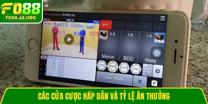 Các cửa cược hấp dẫn và tỷ lệ ăn thưởng