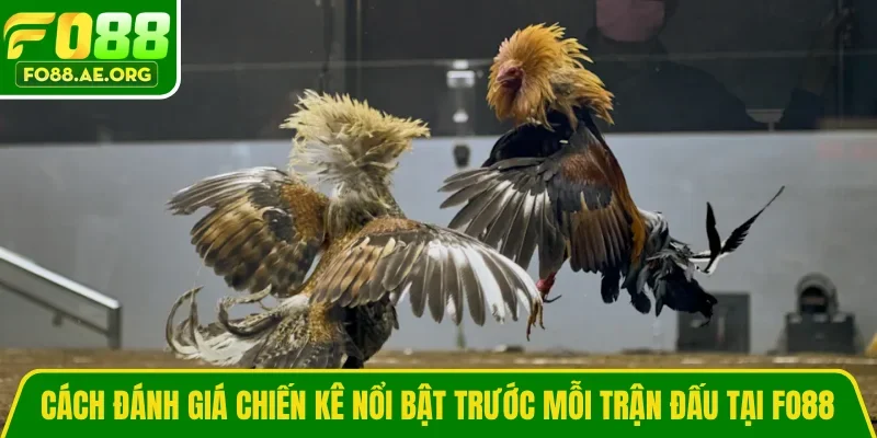 Cách đánh giá chiến kê nổi bật trước mỗi trận đấu tại FO88