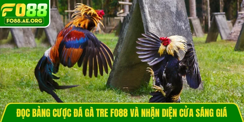 Đọc bảng cược đá gà tre FO88 và nhận diện cửa sáng giá