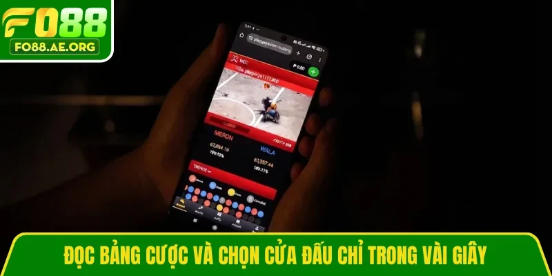 Đọc bảng cược và chọn cửa đấu chỉ trong vài giây