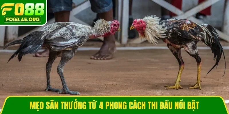 Mẹo săn thưởng từ 4 phong cách thi đấu nổi bật