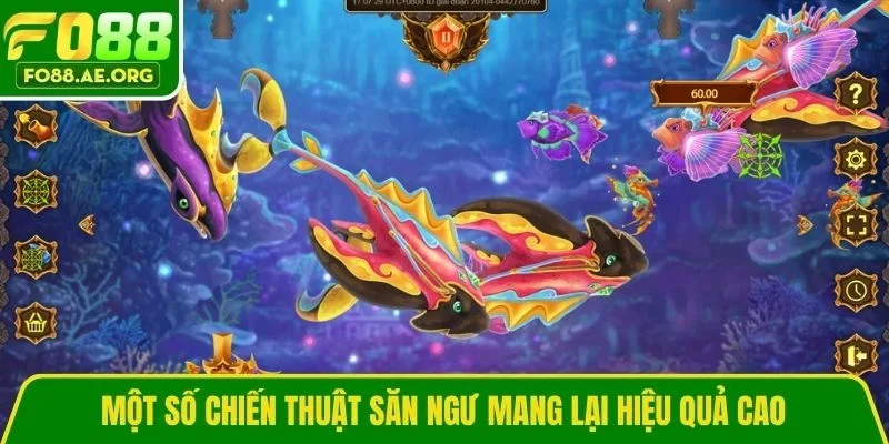 Một số chiến thuật săn ngư mang lại hiệu quả cao