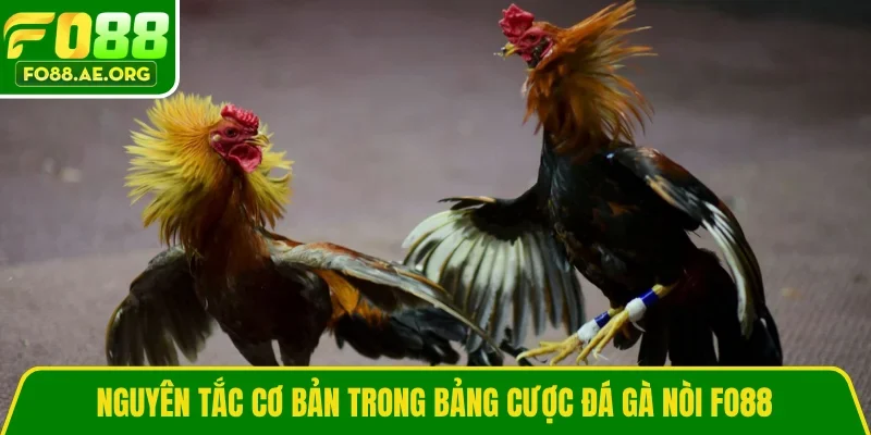 Nguyên tắc cơ bản trong bảng cược đá gà nòi FO88