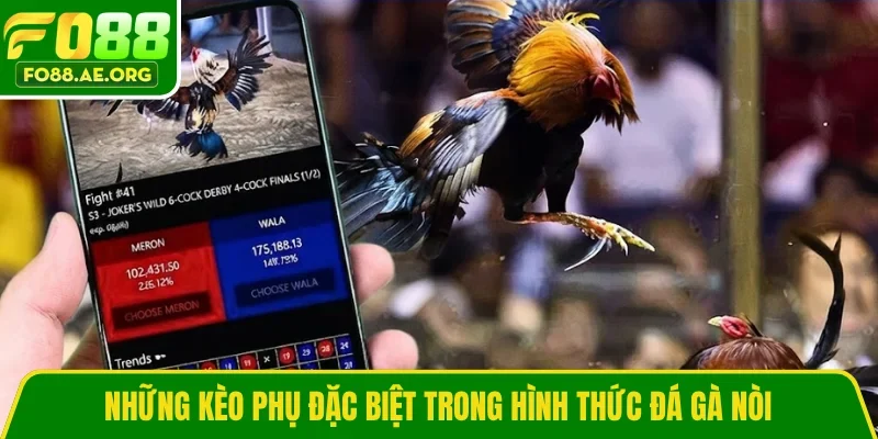 Những kèo phụ đặc biệt trong hình thức đá gà nòi
