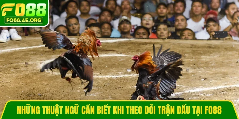 Những thuật ngữ cần biết khi theo dõi trận đấu tại FO88