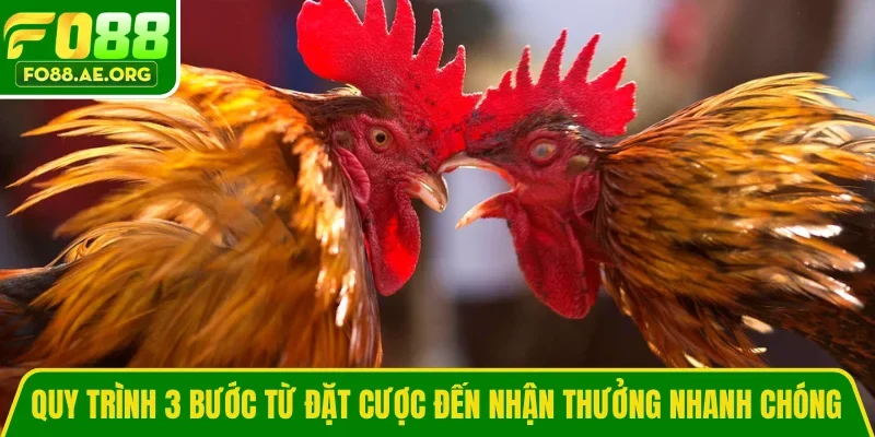 Quy trình 3 bước từ đặt cược đến nhận thưởng nhanh chóng