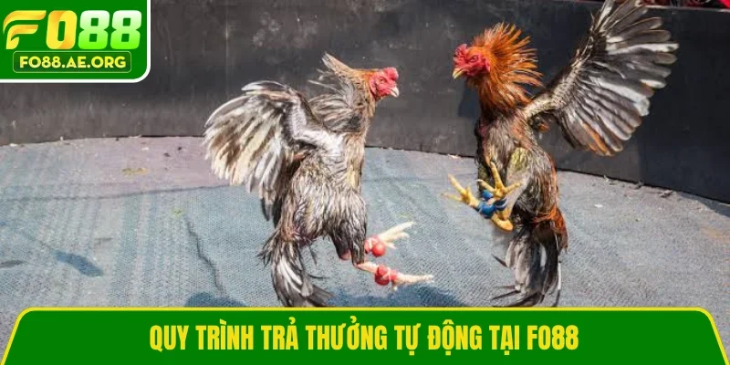 Quy trình trả thưởng tự động tại FO88