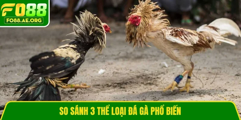 So sánh 3 thể loại đá gà phổ biến