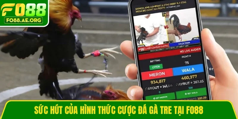 Sức hút của hình thức cược đá gà tre tại FO88