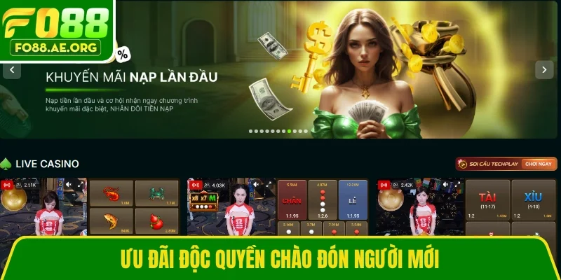 Ưu đãi độc quyền chào đón người mới