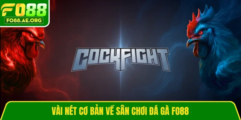 Vài nét cơ bản về sân chơi đá gà Fo88